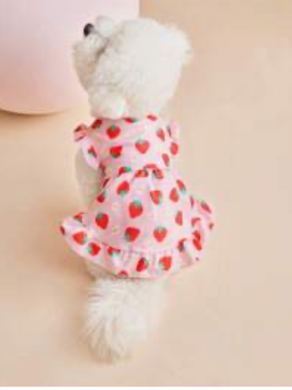 Lot Bundle of XS Extra Small Toy Breed Dog or Cat Puppy Designer Shirts Tops New - Picture 3 of 5